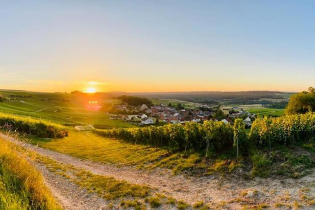 Cottage, Lodge & Spa Prouilly Luaran gambar