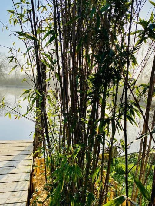Cottage, Lodge & Spa Prouilly Luaran gambar